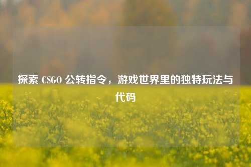 探索 CSGO 公转指令,游戏世界里的独特玩法与代码