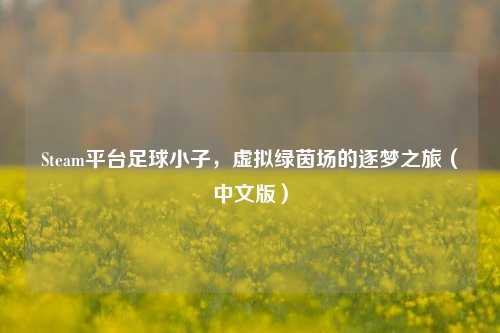 Steam平台足球小子,虚拟绿茵场的逐梦之旅(中文版)