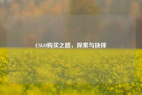 CSGO购买之路,探索与抉择