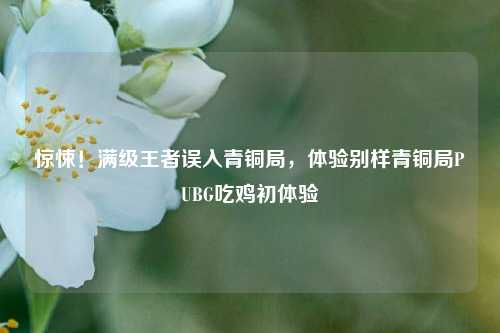 惊悚!满级王者误入青铜局,体验别样青铜局PUBG吃鸡初体验