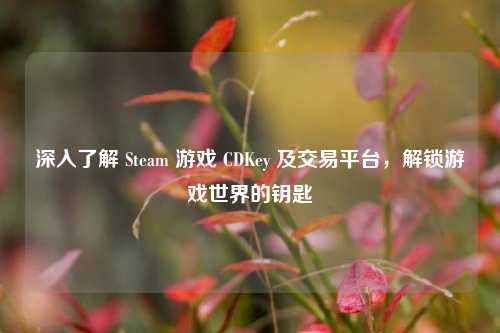 深入了解 Steam 游戏 CDKey 及交易平台,解锁游戏世界的钥匙