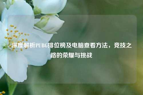 深度解析PUBG排位榜及电脑查看方法,竞技之路的荣耀与挑战