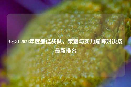 CSGO 2021年度最佳战队,荣耀与实力巅峰对决及最新排名