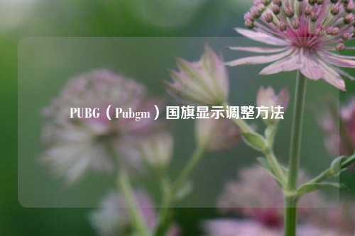 PUBG(Pubgm)国旗显示调整方法