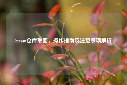 Steam仓库取回,操作指南及注意事项解析