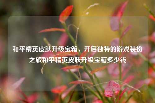和平精英皮肤升级宝箱，开启独特的游戏装扮之旅和平精英皮肤升级宝箱多少钱