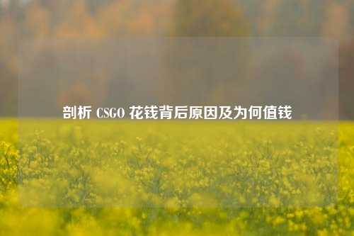 剖析 CSGO 花钱背后原因及为何值钱