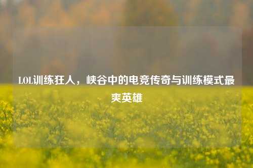 LOL训练狂人,峡谷中的电竞传奇与训练模式最爽英雄