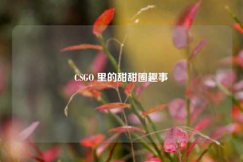 CSGO 里的甜甜圈趣事