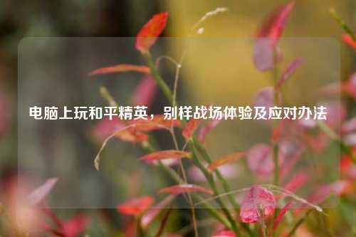 电脑上玩和平精英，别样战场体验及应对办法