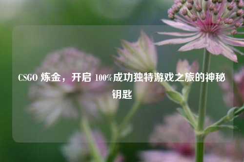 CSGO 炼金，开启 100%成功独特游戏之旅的神秘钥匙