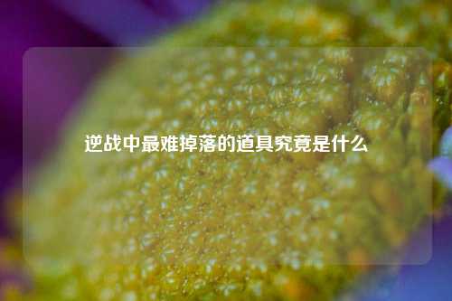 逆战中最难掉落的道具究竟是什么