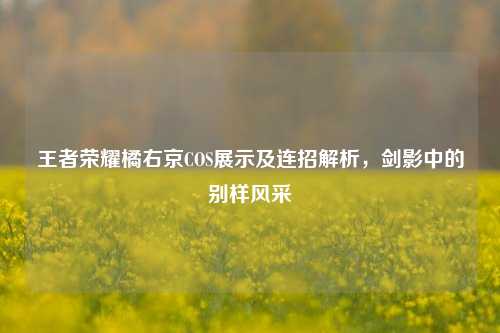 王者荣耀橘右京COS展示及连招解析，剑影中的别样风采