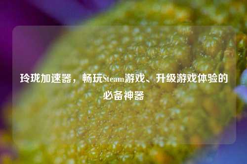 玲珑加速器,畅玩Steam游戏、升级游戏体验的必备神器