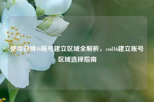 使命召唤16账号建立区域全解析，cod16建立账号区域选择指南