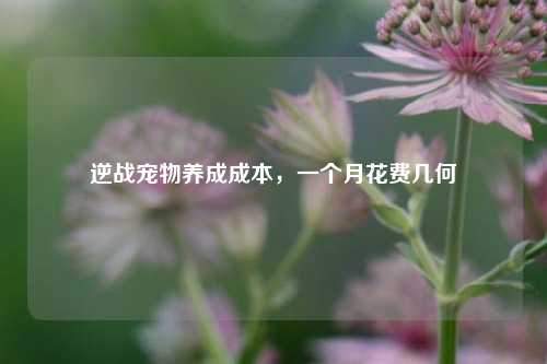 逆战宠物养成成本，一个月花费几何