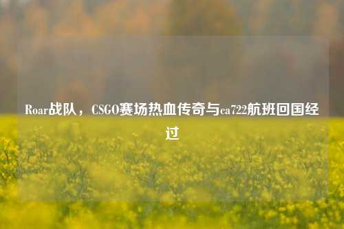 Roar战队,CSGO赛场热血传奇与ca722航班回国经过