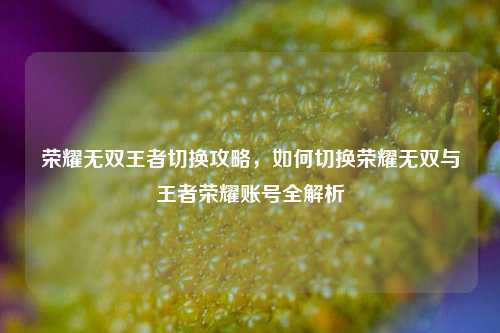 荣耀无双王者切换攻略，如何切换荣耀无双与王者荣耀账号全解析
