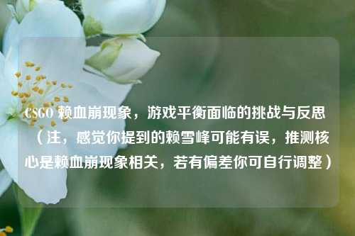 CSGO 赖血崩现象，游戏平衡面临的挑战与反思 （注，感觉你提到的赖雪峰可能有误，推测核心是赖血崩现象相关，若有偏差你可自行调整）
