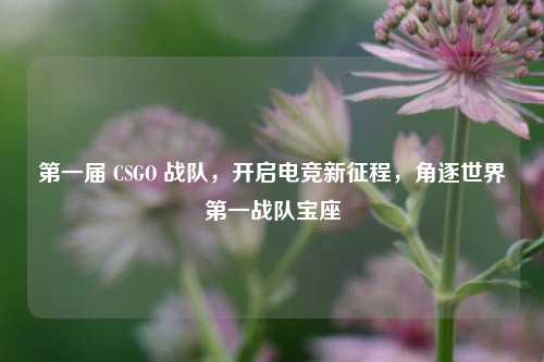 第一届 CSGO 战队，开启电竞新征程，角逐世界第一战队宝座