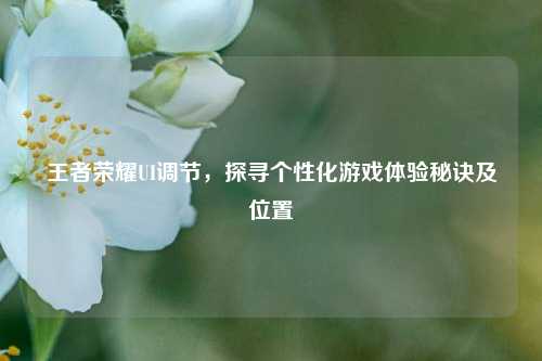 王者荣耀UI调节,探寻个性化游戏体验秘诀及位置