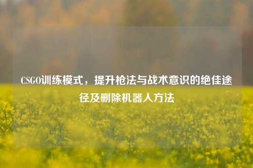 CSGO训练模式,提升枪法与战术意识的绝佳途径及删除机器人方法