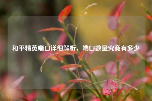 和平精英端口详细解析，端口数量究竟有多少