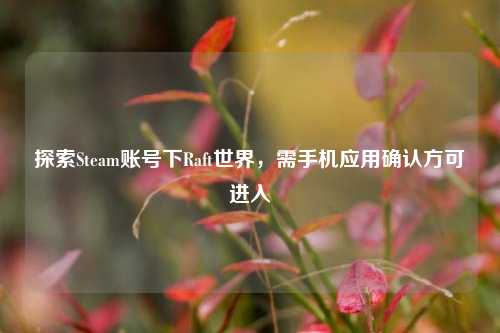探索Steam账号下Raft世界，需手机应用确认方可进入