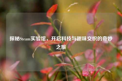 探秘Steam实验馆，开启科技与趣味交织的奇妙之旅