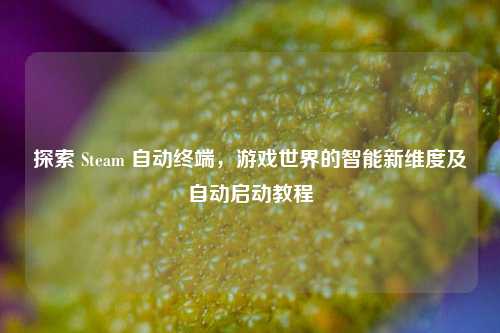 探索 Steam 自动终端，游戏世界的智能新维度及自动启动教程