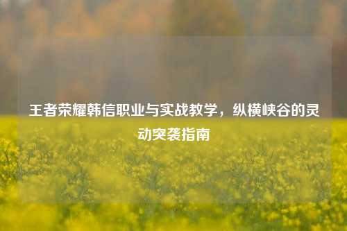 王者荣耀韩信职业与实战教学，纵横峡谷的灵动突袭指南