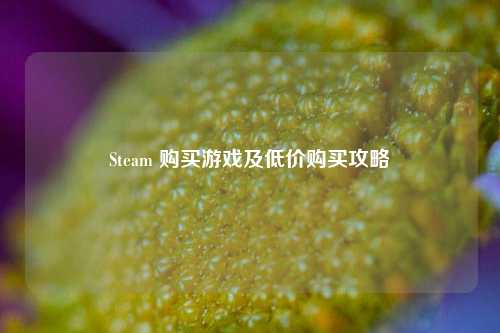 Steam 购买游戏及低价购买攻略