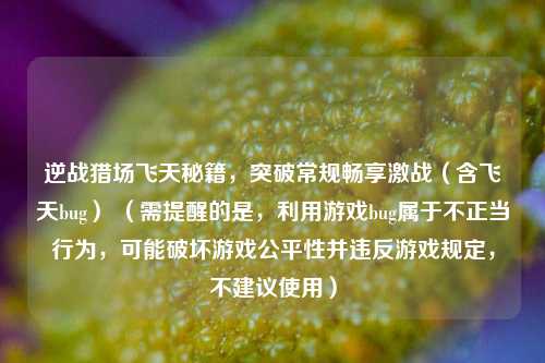 逆战猎场飞天秘籍，突破常规畅享激战（含飞天bug） （需提醒的是，利用游戏bug属于不正当行为，可能破坏游戏公平性并违反游戏规定，不建议使用）