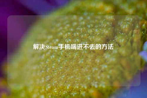 解决Steam手机端进不去的方法