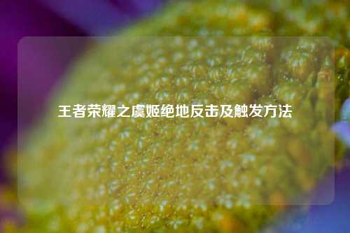 王者荣耀之虞姬绝地反击及触发方法