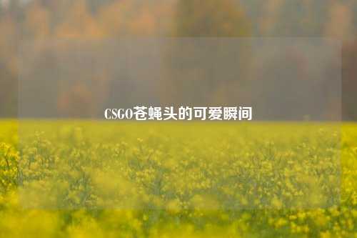 CSGO苍蝇头的可爱瞬间