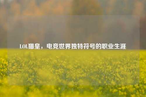 LOL猫皇，电竞世界独特符号的职业生涯