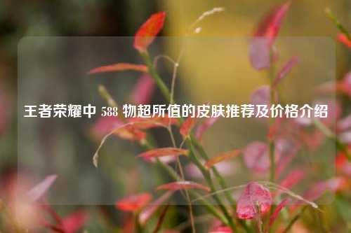 王者荣耀中 588 物超所值的皮肤推荐及价格介绍