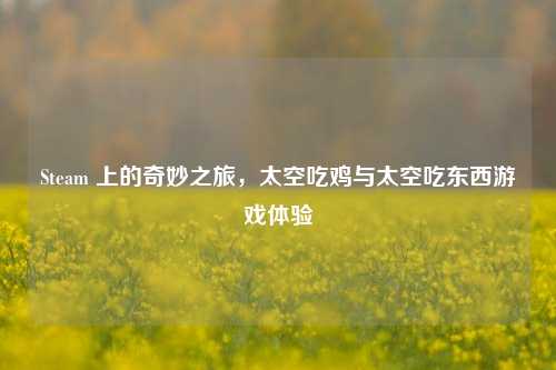 Steam 上的奇妙之旅，太空吃鸡与太空吃东西游戏体验