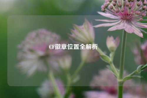 CF徽章位置全解析