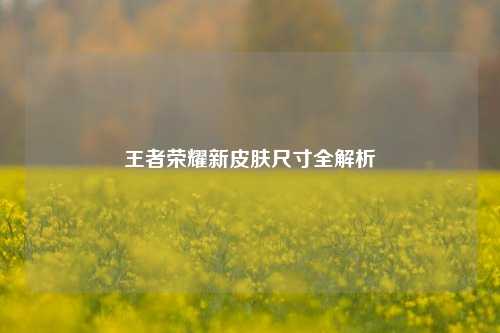 王者荣耀新皮肤尺寸全解析