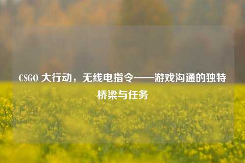 CSGO 大行动，无线电指令——游戏沟通的独特桥梁与任务