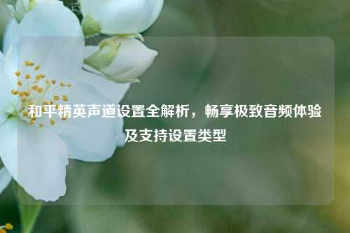 和平精英声道设置全解析，畅享极致音频体验及支持设置类型