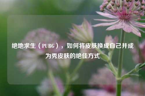 绝地求生（PUBG），如何将皮肤换成自己并成为秀皮肤的绝佳方式