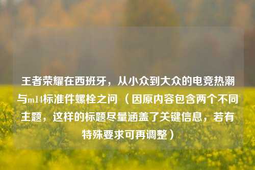 王者荣耀在西班牙，从小众到大众的电竞热潮与m14标准件螺栓之问 （因原内容包含两个不同主题，这样的标题尽量涵盖了关键信息，若有特殊要求可再调整）