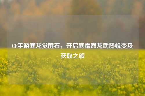 CF手游寒龙觉醒石，开启寒霜烈龙武器蜕变及获取之旅