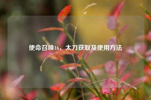 使命召唤16，太刀获取及使用方法