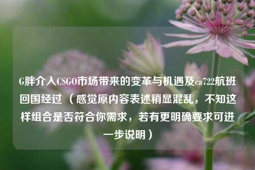 G胖介入CSGO市场带来的变革与机遇及ca722航班回国经过 （感觉原内容表述稍显混乱，不知这样组合是否符合你需求，若有更明确要求可进一步说明）