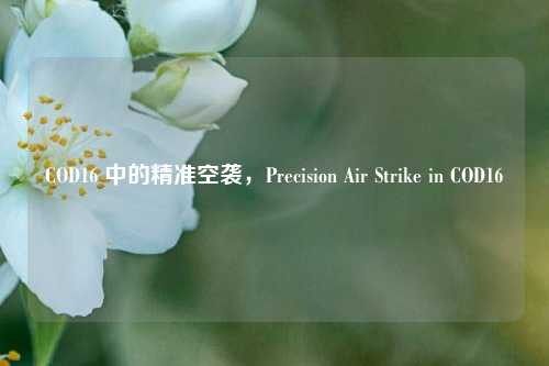 COD16 中的精准空袭，Precision Air Strike in COD16