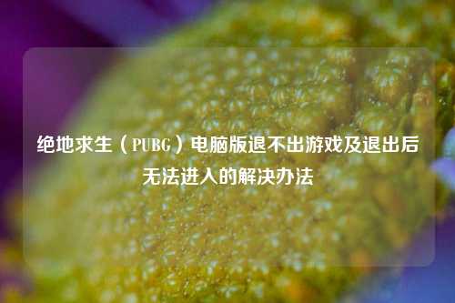 绝地求生（PUBG）电脑版退不出游戏及退出后无法进入的解决办法